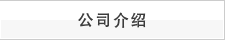 公司介绍